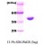 SDS-Page: Hsp70 Protein [NBC1-18358] - Dna K, 41.6kDa (384aa) with a purity of 95% by SDS - PAGE